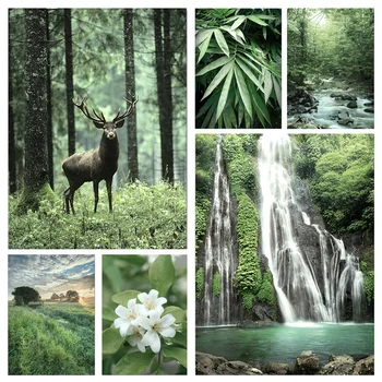 יער ירוק פוסטר הנחל מפל פרחים עלים באביב השינה הדפסי הנוף הטבעי תמונה ציור להתאמה אישית
